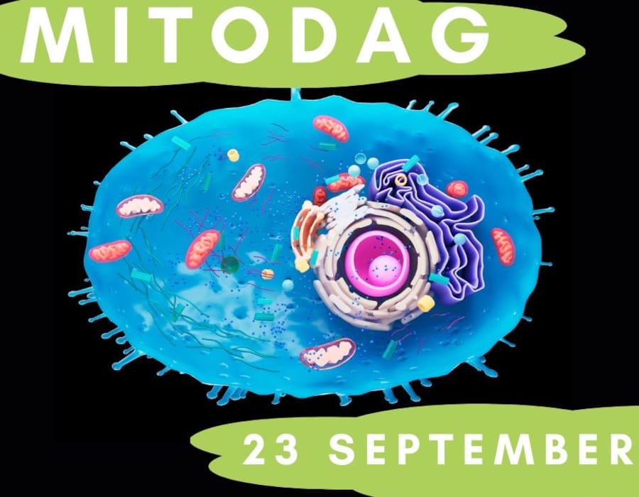 Mitodag 
