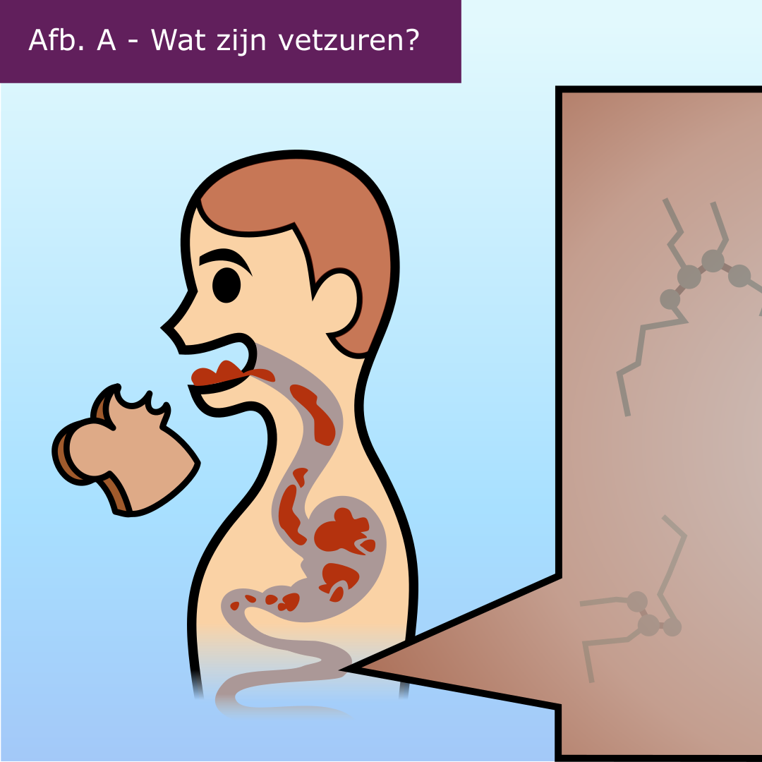 LCHADD en MTP-deficiëntie infographic afbeelding 0