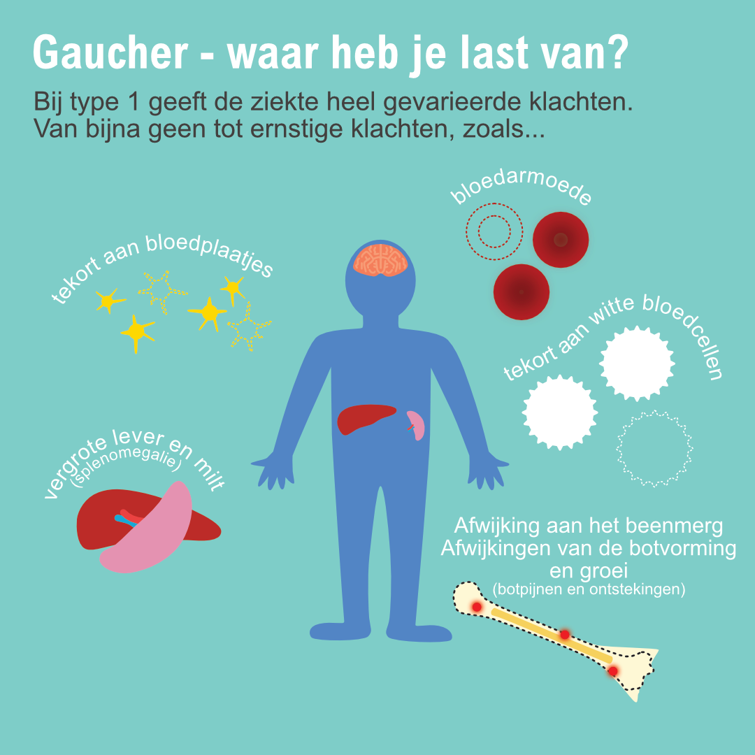 Ziekte van Gaucher type 3 infographic afbeelding 1