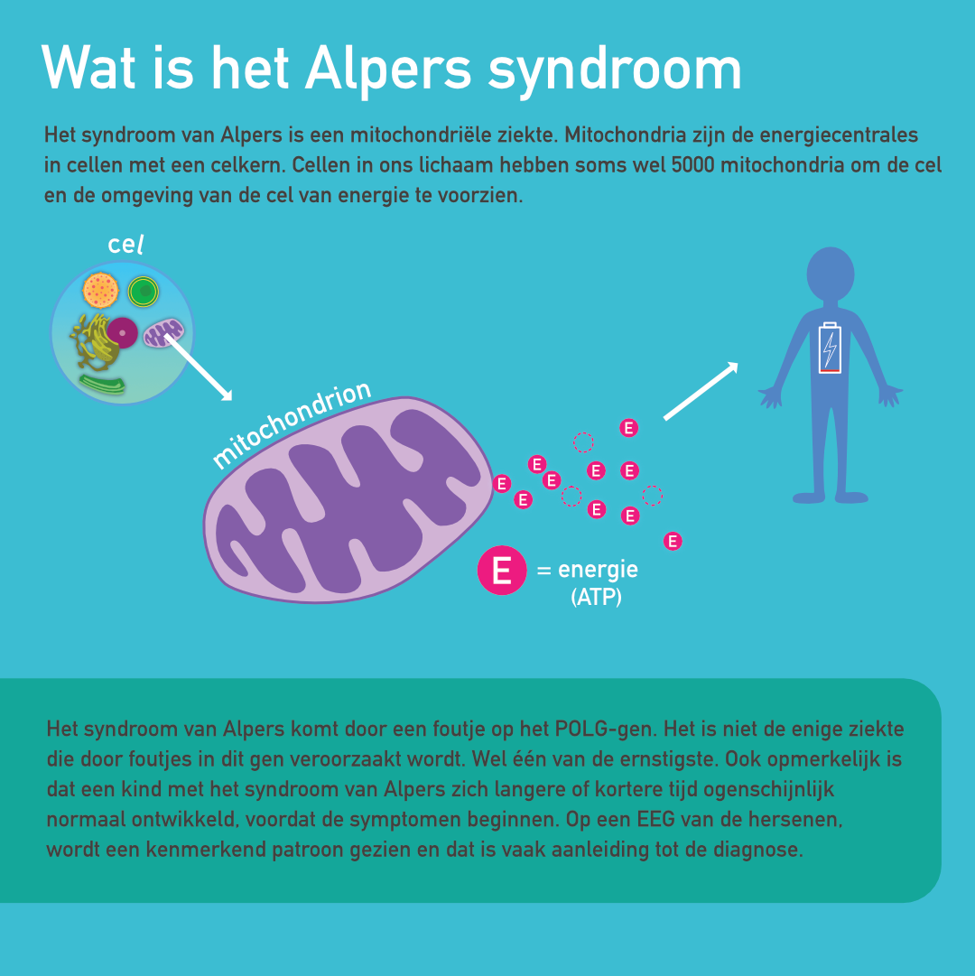 Mito Alpers (syndroom van), POLG1 infographic afbeelding 0