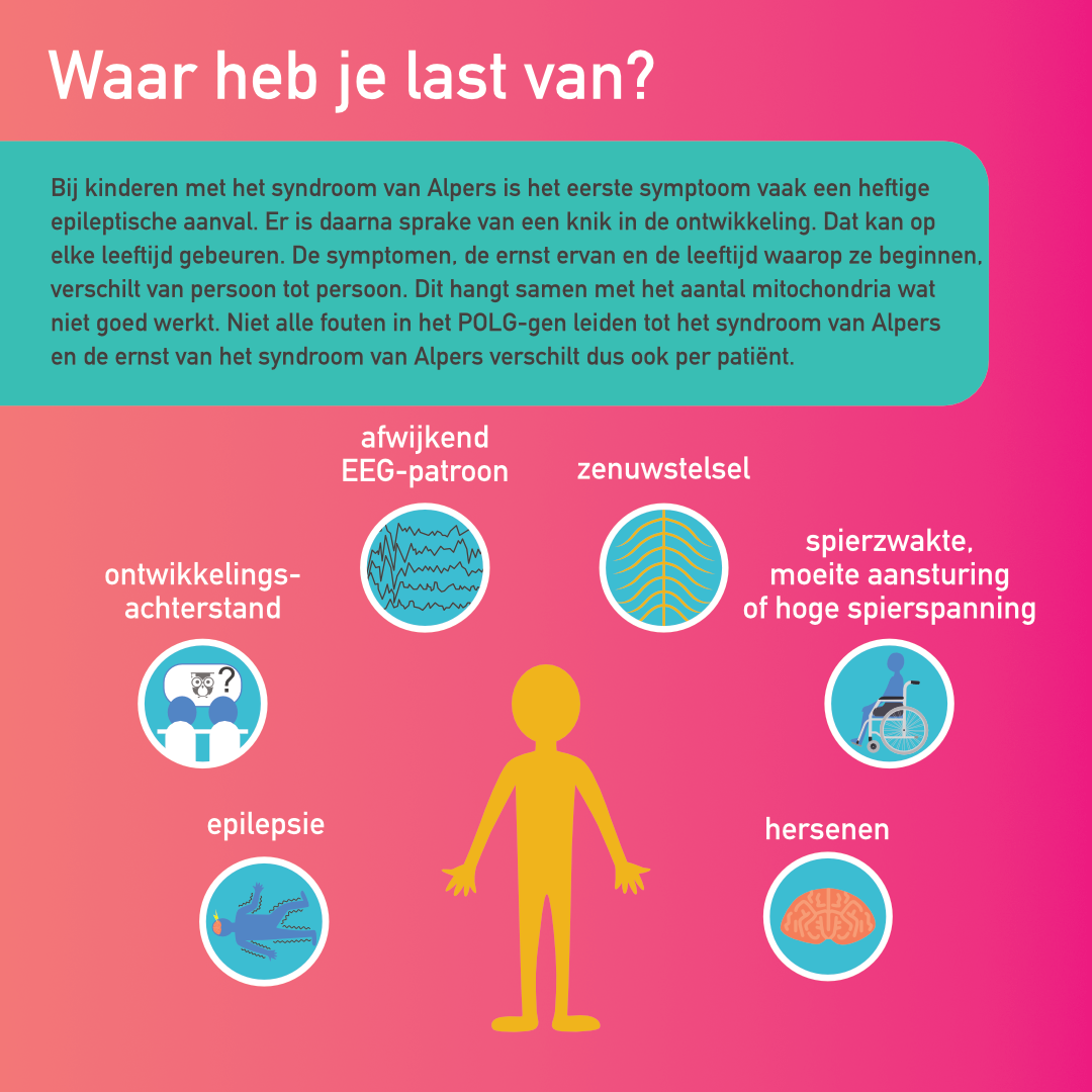 Mito Alpers (syndroom van), POLG1 infographic afbeelding 1