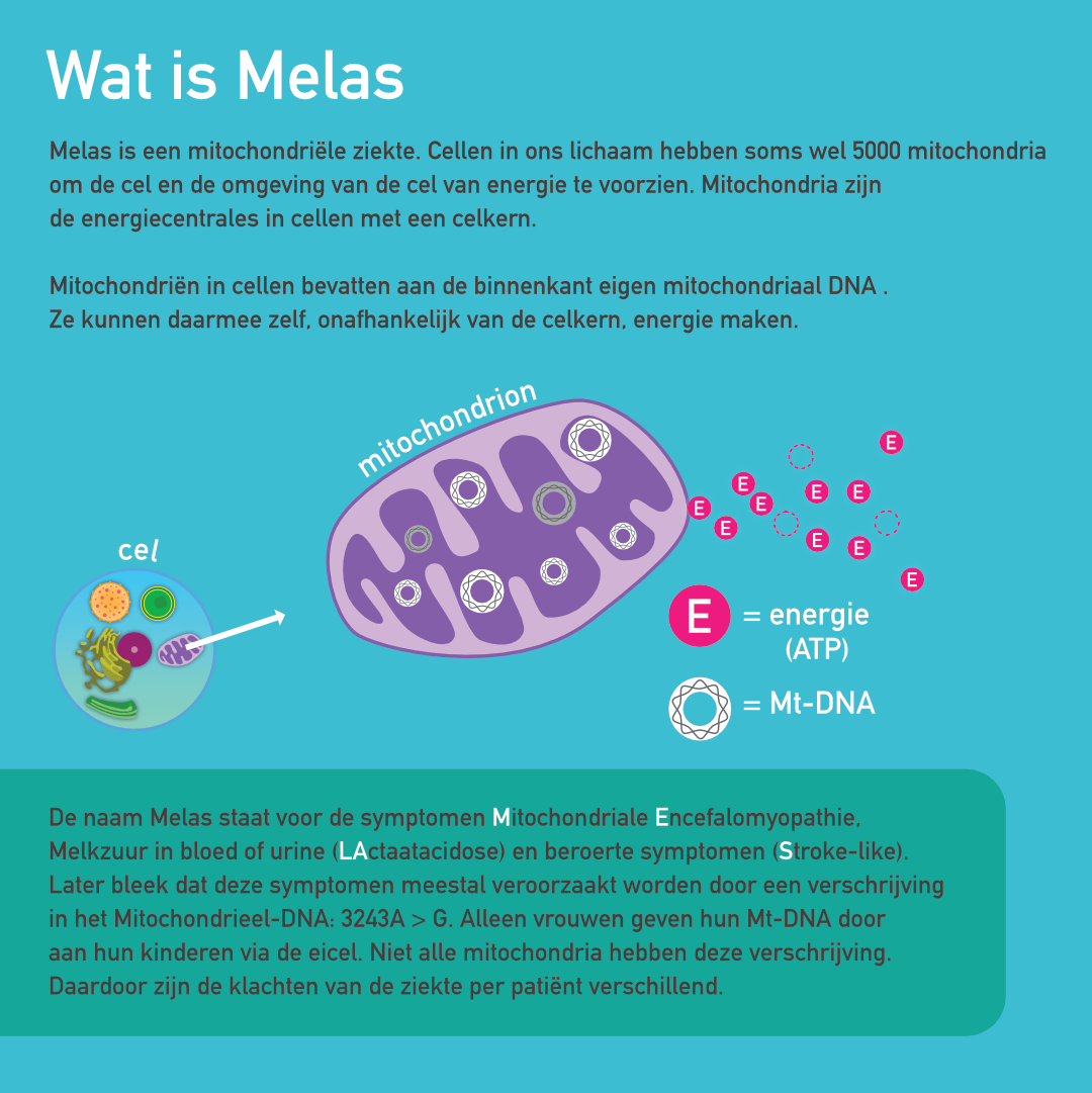 Mito MELAS infographic afbeelding 0