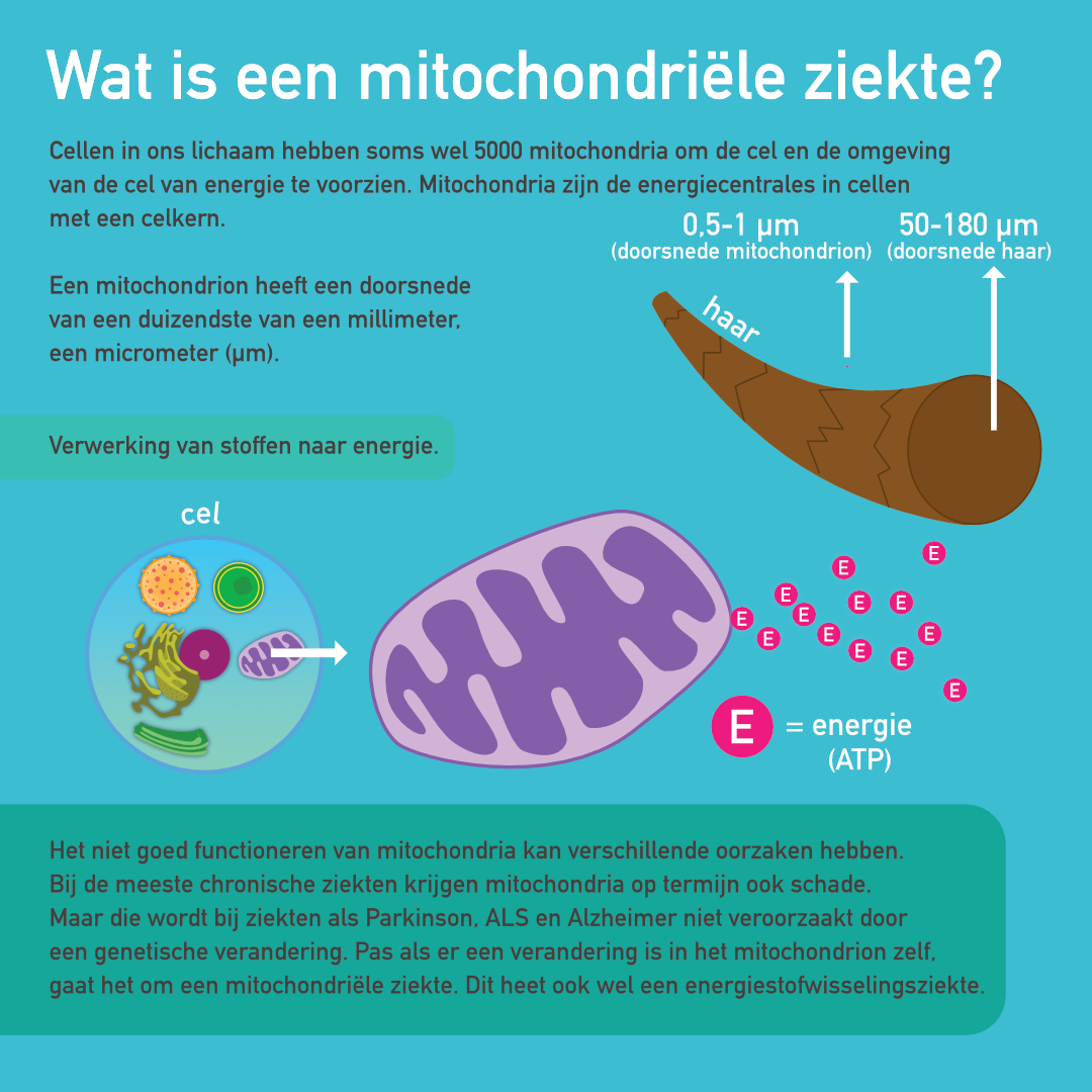 Mitochondriële myopathie infographic afbeelding 0