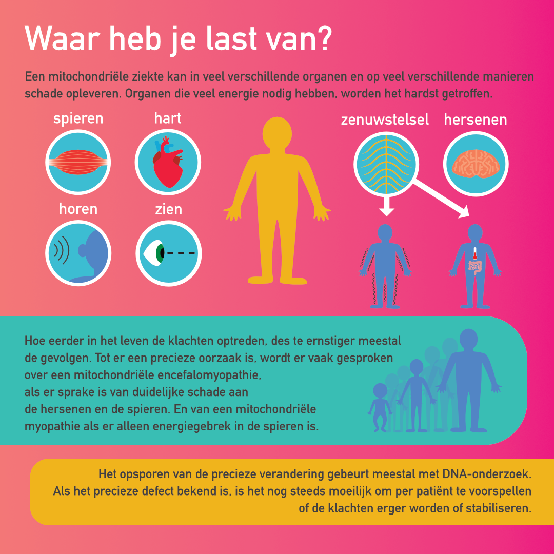 Mitochondriële myopathie infographic afbeelding 1
