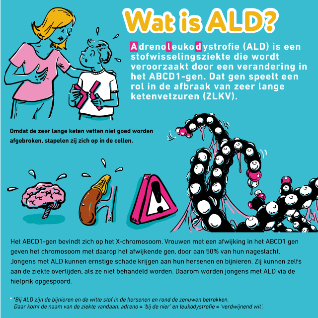 ALD (Adrenoleukodystrofie) infographic afbeelding 0