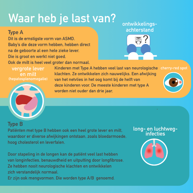 Niemann-Pick type A en B (sfingomyelinase) infographic afbeelding 1