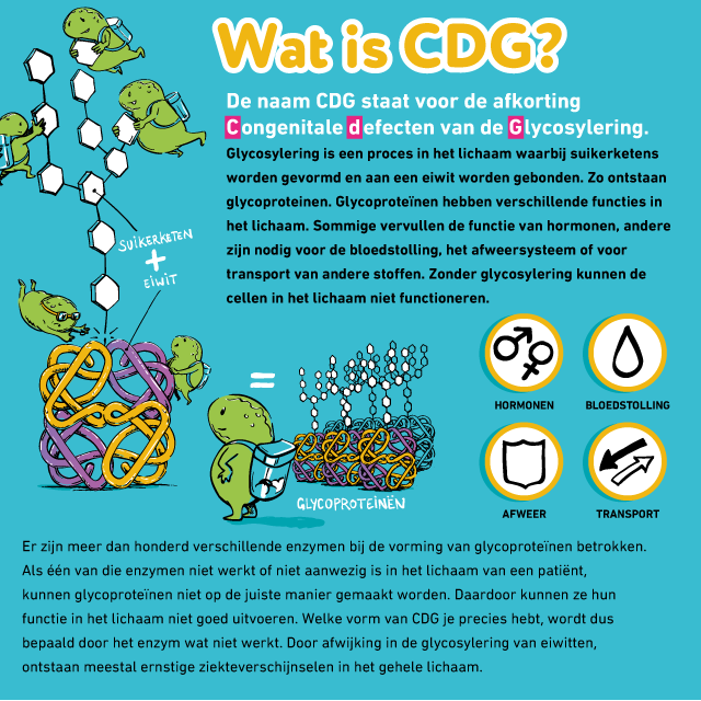 CDG: PMM2-CDG infographic afbeelding 0