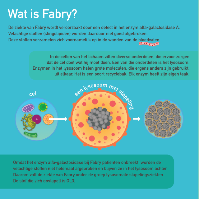 Ziekte van Fabry (alfa-galactosidasedeficiëntie) infographic afbeelding 0