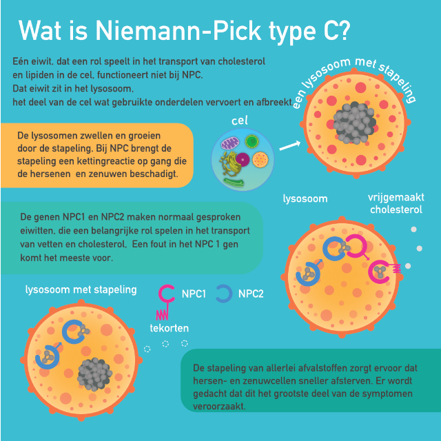 Niemann-Pick type C infographic afbeelding 0