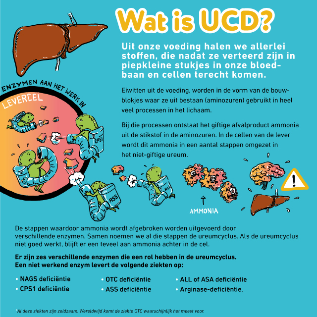 Citrullinemie type 1 (Argininosuccinaatsynthetasedeficiëntie, ASS) infographic afbeelding 0