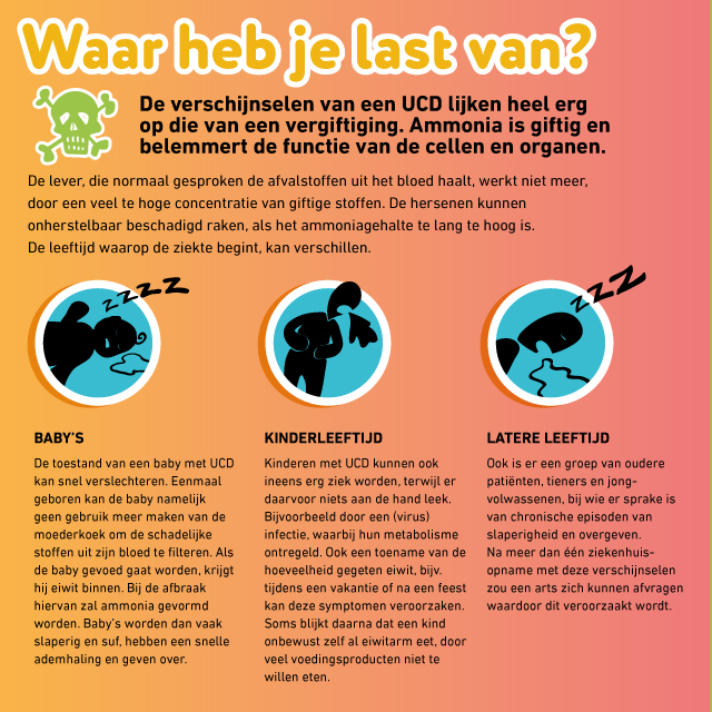 Citrullinemie type 1 (Argininosuccinaatsynthetasedeficiëntie, ASS) infographic afbeelding 1