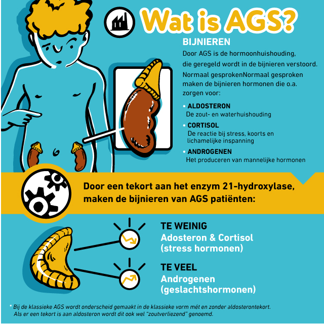 AGS Adrenogenitaalsyndroom infographic afbeelding 0