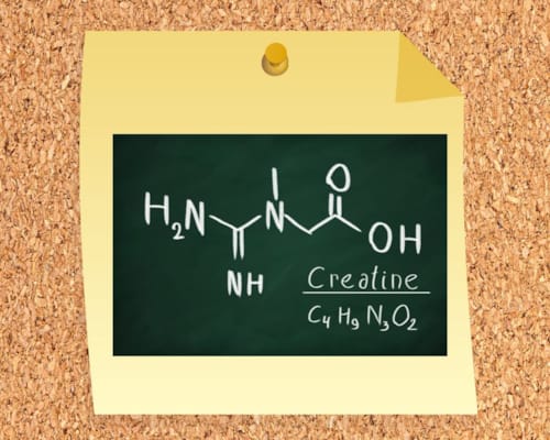 Guideline CTD