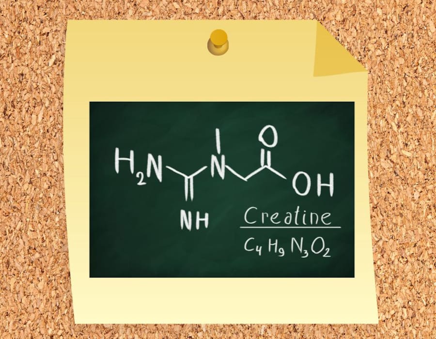 Guideline CTD