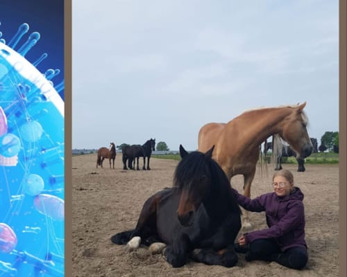 Artikel Wisselstof: Het verhaal van Julia