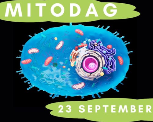 Mitodag 