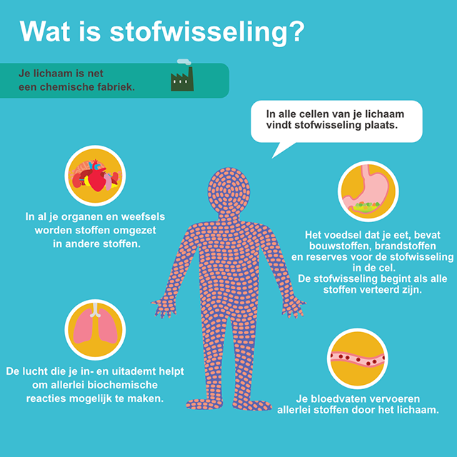 (Nog) geen nadere diagnose infographic afbeelding 0