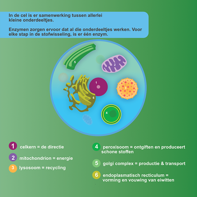 (Nog) geen nadere diagnose infographic afbeelding 1